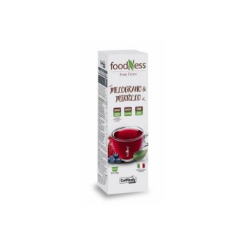 10 CAPSULE CAFFITALY FOODNESS MELOGRANO & MIRTILLO