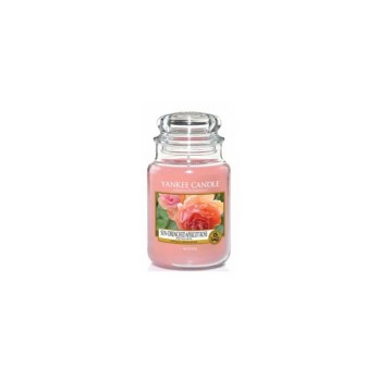 CANDELA YANKEE SUN-DRENCHED APRICOTE ROSE 623 gr